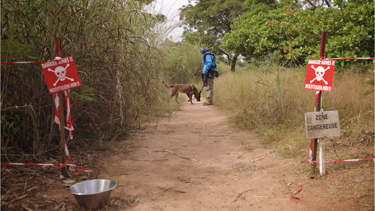 Jonathan Matambo, maître-chien démineur et Katja, chien détecteur d'explosifs, à Diagnon.