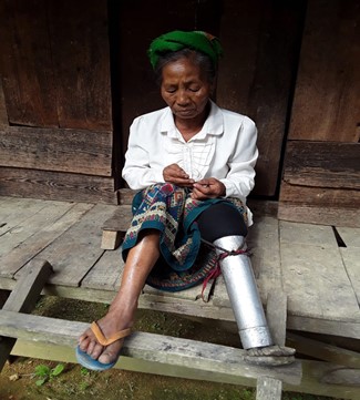 portrait of Mme. Chanh who is sitting.