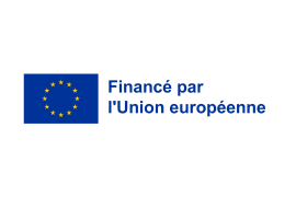 Logo de DG NEAR: Politique européenne de voisinage et négociations d'élargissement