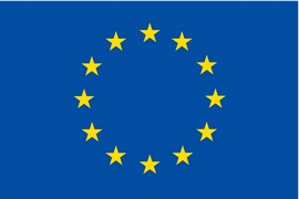 European Union flag