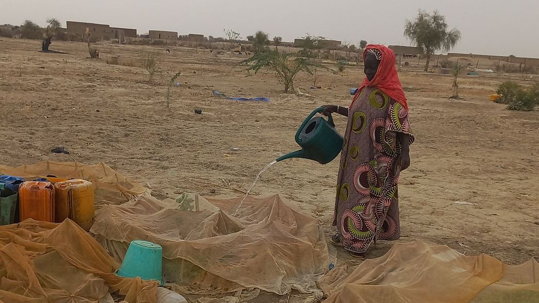 Fadimata arrose son potager. © HI