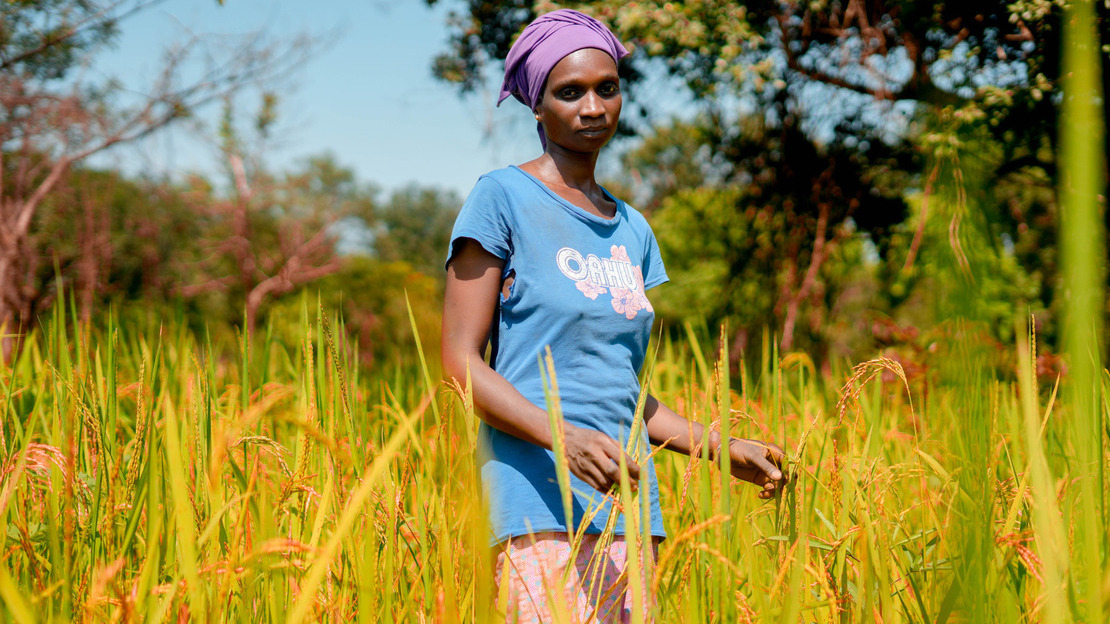 Une jeune femme se tient au milieu d'un champ de riz. Derrière elle, de grands arbres bouchent l'horizon. Elle regarde la caméra et tient des pousses entre les doigts.