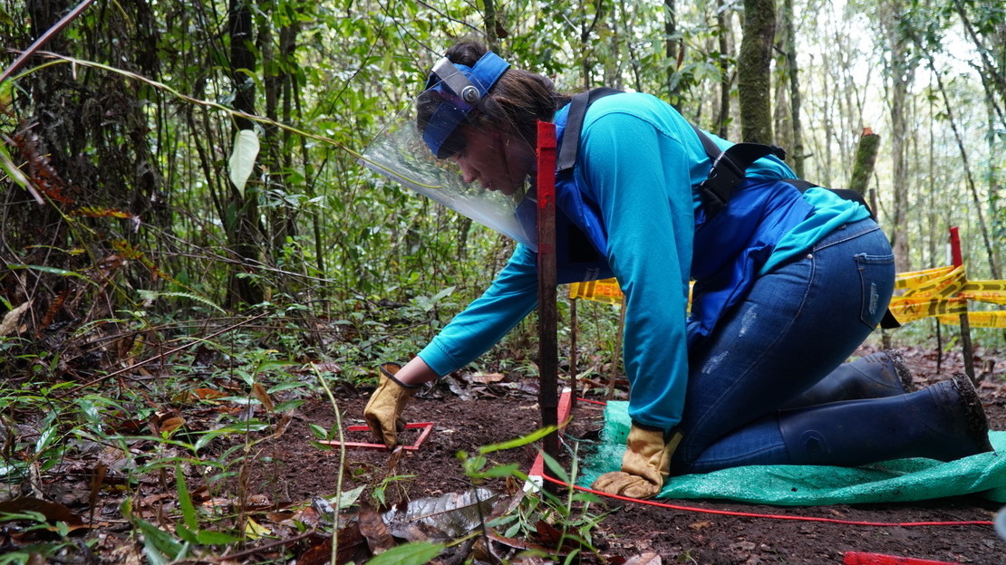 Dans la région humide des montagnes d'Inzá, une démineuse réalise des opérations de déminage dans une zone contaminée. Département du Cauca, Colombie.