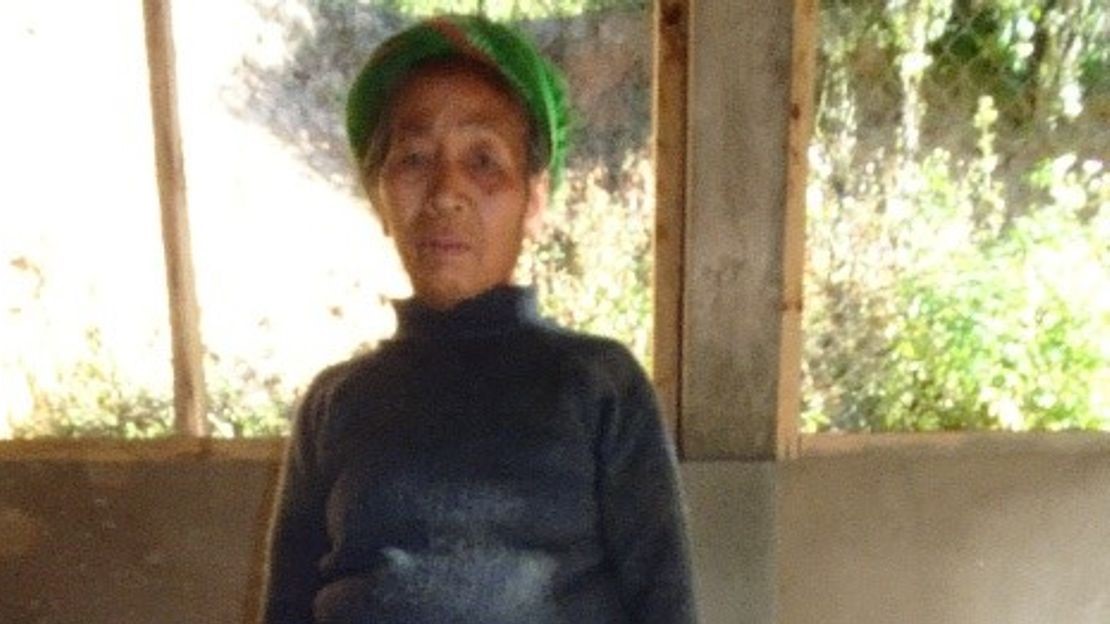 Portrait de Mme. Chanh 